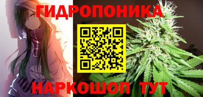 мяу мяу мука Канаш